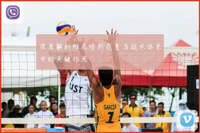 深度解析维尼修斯在皇马战术体系中的关键作用